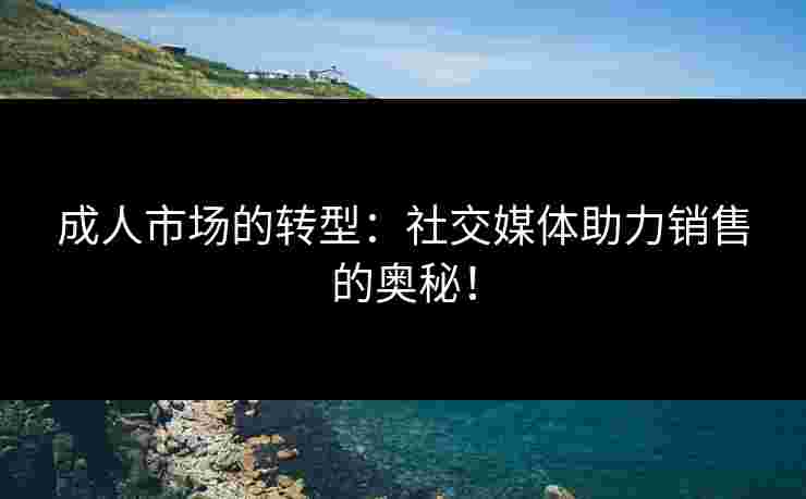 成人市场的转型：社交媒体助力销售的奥秘！