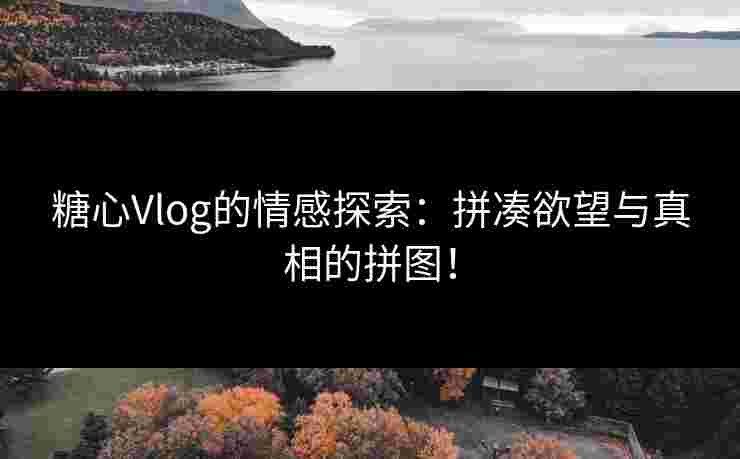糖心Vlog的情感探索：拼凑欲望与真相的拼图！